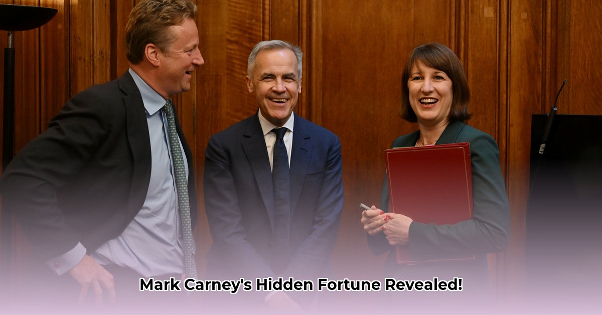 mark-carney-wealth-and-investments